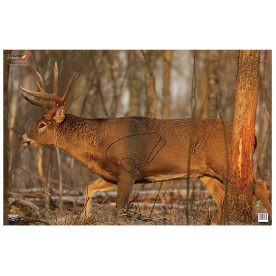 BC EZE-SCORER DEER 23X35" 2PK (12)