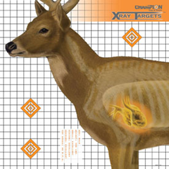 CHAMP TARGET XRAY DEER 25X25