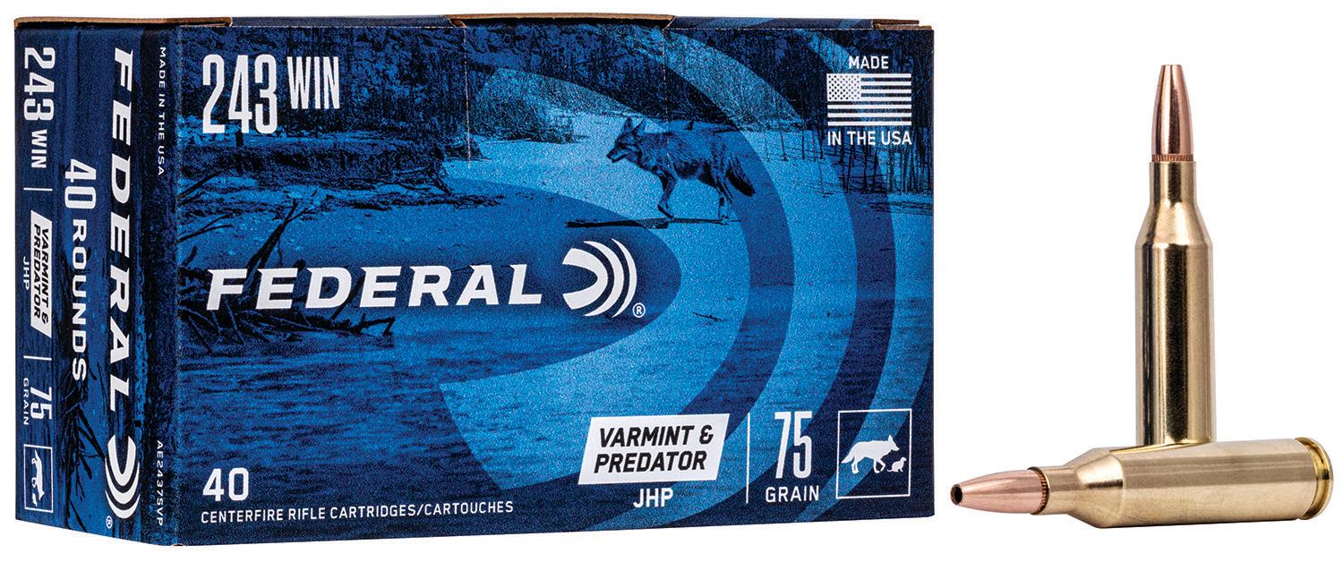 FED AMERICAN EAGLE V&P 243WIN 75GR JHP 40/5