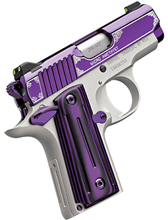 KIMBER MICRO AMETHYST 380ACP 2.75" NS