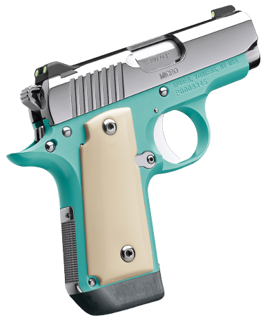 KIMBER MICRO BEL AIR 380ACP 2.75" NS