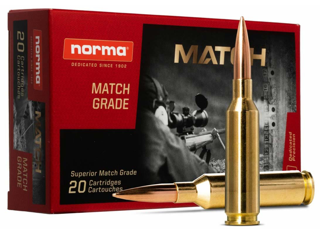 NORMA GOLDEN TARGET 338MAG 250GR BTHP 20/10