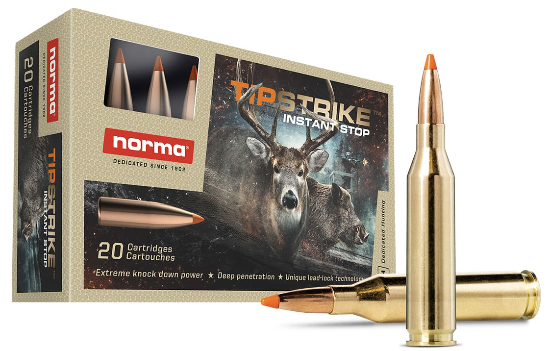 NORMA TIPSTRIKE 243WIN 76GR 20/10