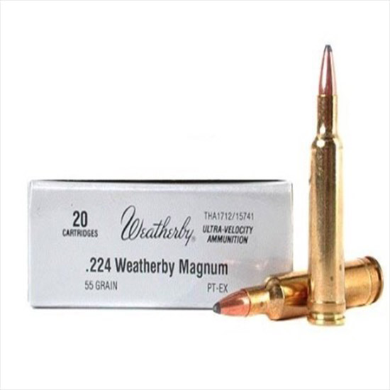 WBY AMMO 224WBY 55GR SPIRE PT 20/10